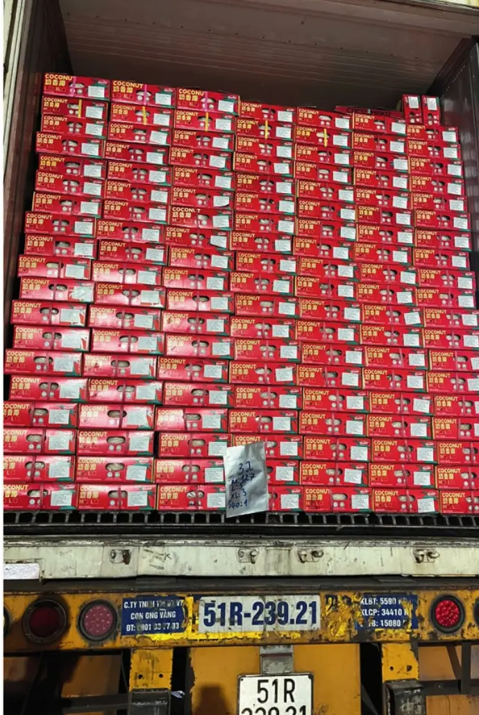 红色椰子包装箱整齐装入出口集装箱